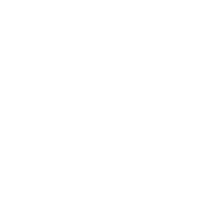 Made-in-USA_Wht