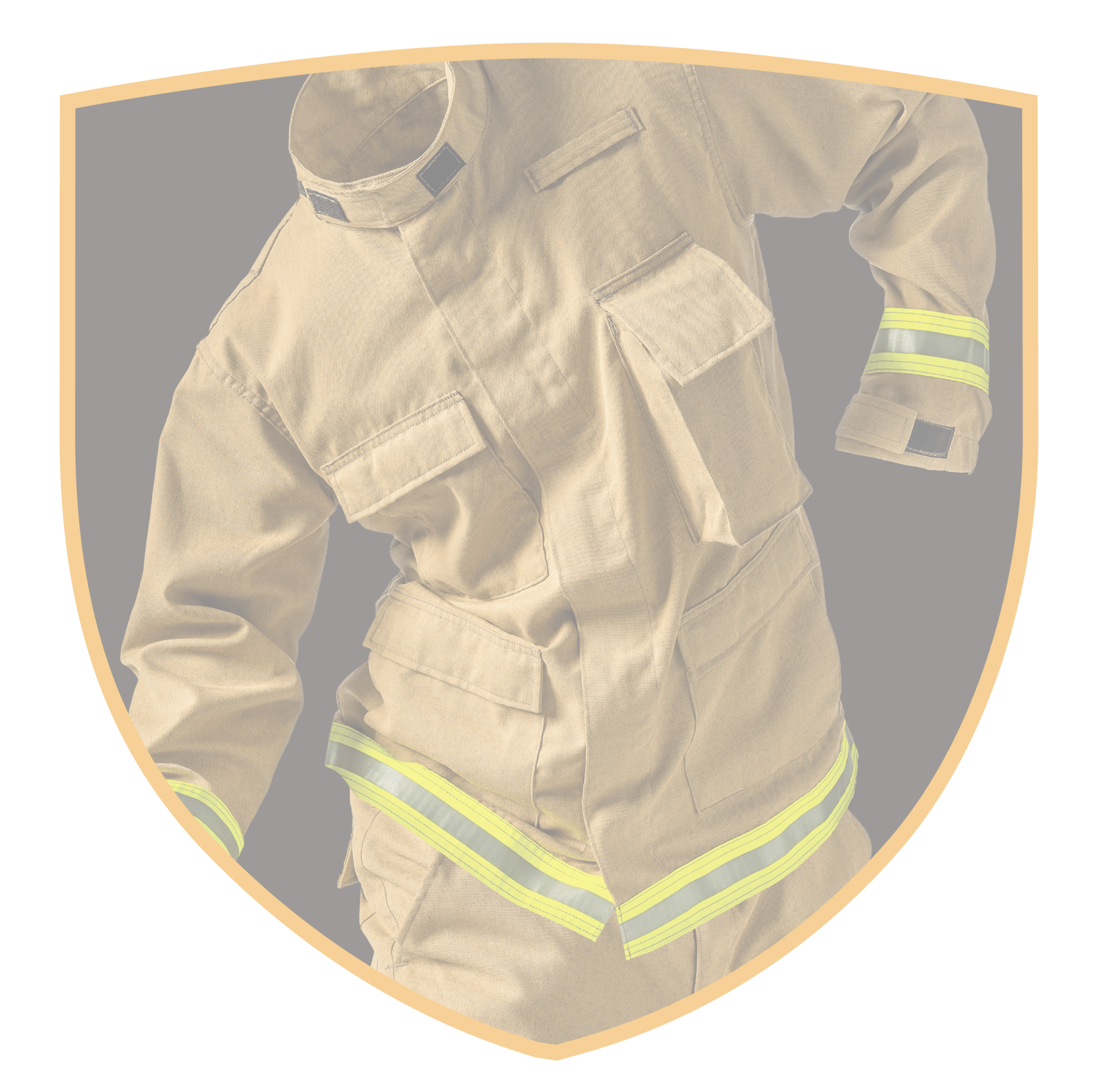 FD_InterceptorPackage_Shields_transparent-01