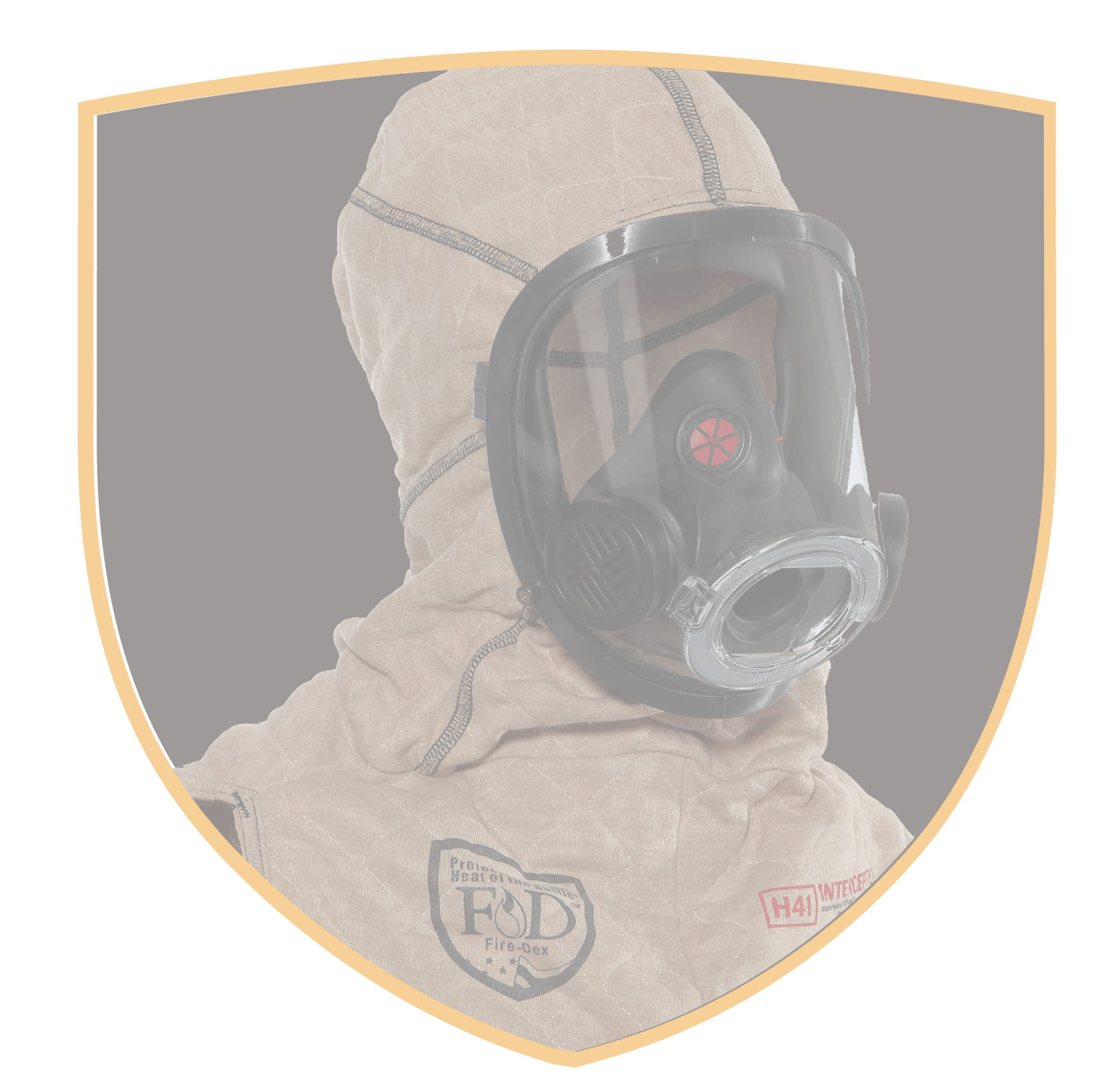 FD_InterceptorPackage_Shields_transparent-01-01