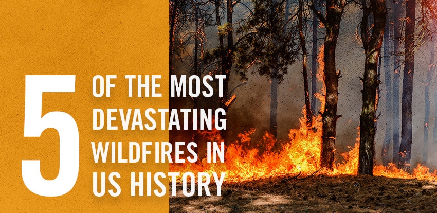 Fire-Dex-Devastating-Wildfires