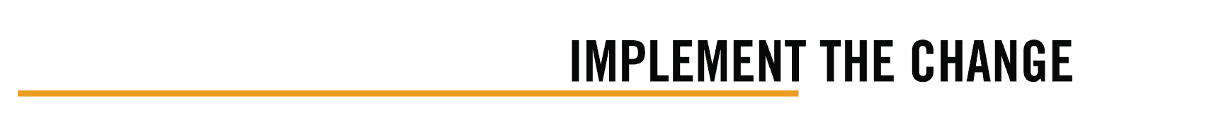 Section-Dividers_Implement-the-Change