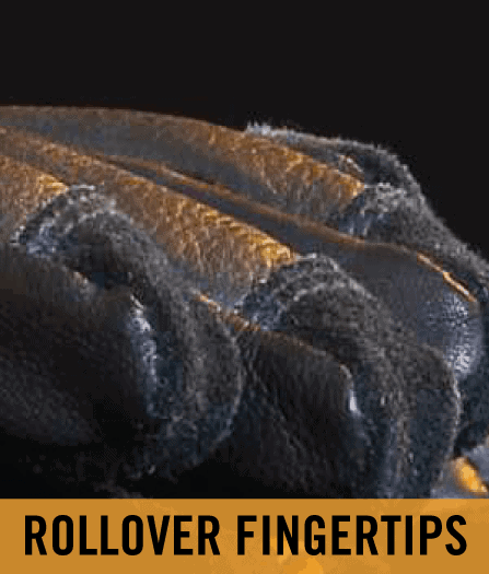 FireDex_FXM_Web_CloseUps_Rollover-Fingertips