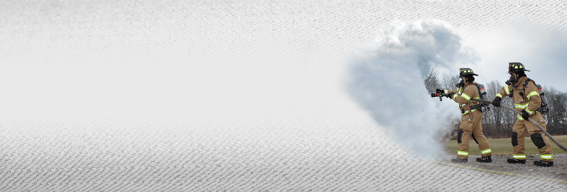 HomePage_BG_Turnouts_greyer
