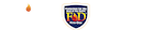 firedexlogowhite2022mobile