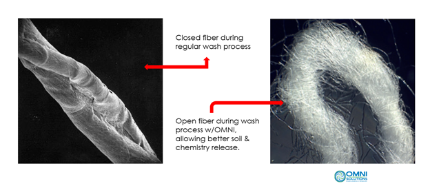 Lux System FIber Image